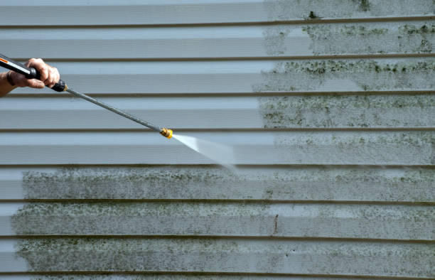 Best Gutter Cleaning  in Nevada, TX
